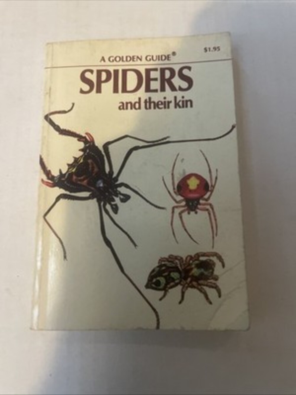 Vintage Spiders and Their Kin Golden Guide Book Pocket